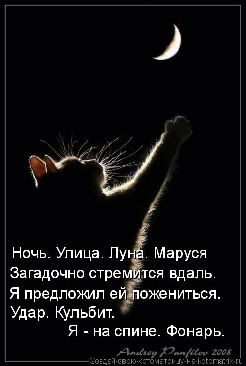 Ночь. Улица. Луна. Маруся Загадочно стремится вдаль. Я предложил ей пожениться. Удар. Кульбит. Я - н... Котоматрица: Ночь. Улица. Луна. Маруся Загадочно стремится вдаль. Я предложил ей пожениться. Удар. Кульбит. Я - на спине. Фонарь.