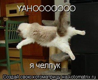 я челпук YАHOOOOOOO... Котоматрица: я челпук YАHOOOOOOO