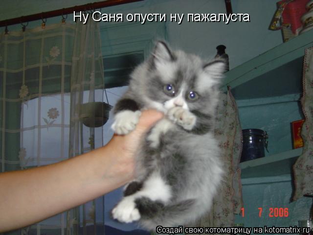 Ну Саня опусти ну пажалуста... Котоматрица: Ну Саня опусти ну пажалуста
