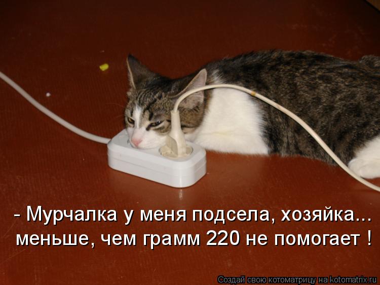 меньше, чем грамм 220 не помогает ! - Мурчалка у меня подсела, хозяйка...... Котоматрица: меньше, чем грамм 220 не помогает ! - Мурчалка у меня подсела, хозяйка...
