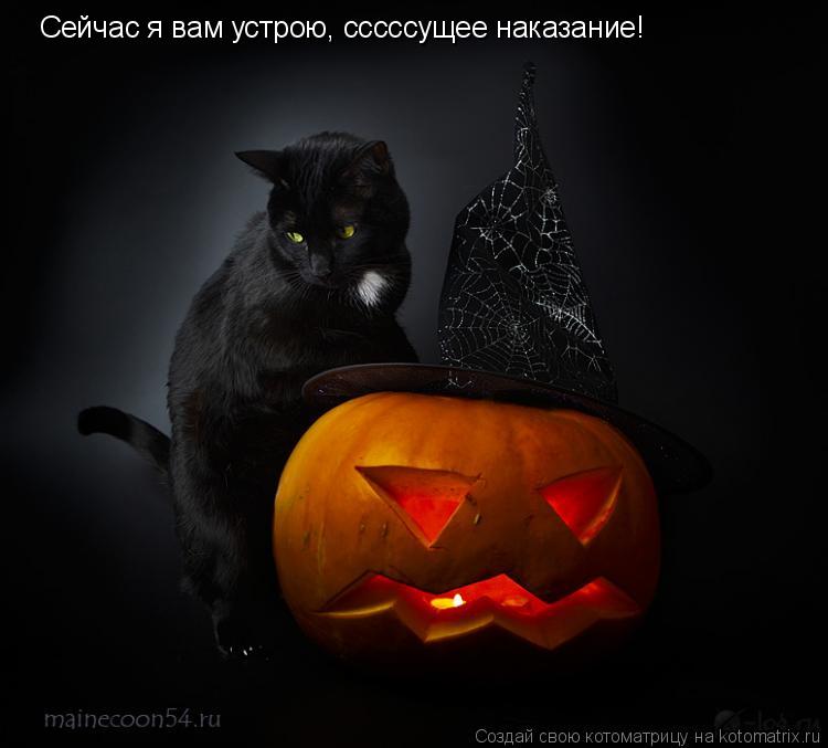 Сейчас я вам устрою, сссссущее наказание!... Котоматрица: Сейчас я вам устрою, сссссущее наказание!