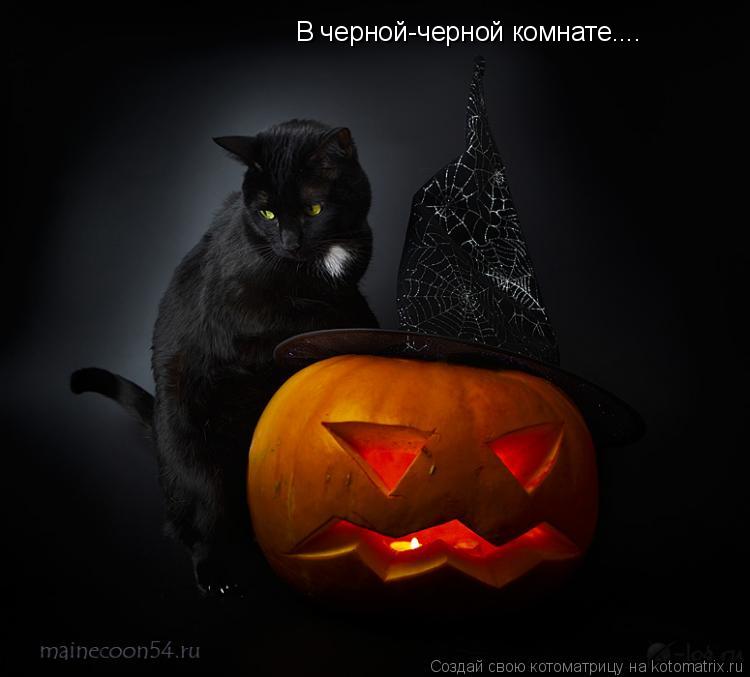В черной-черной комнате....... Котоматрица: В черной-черной комнате....