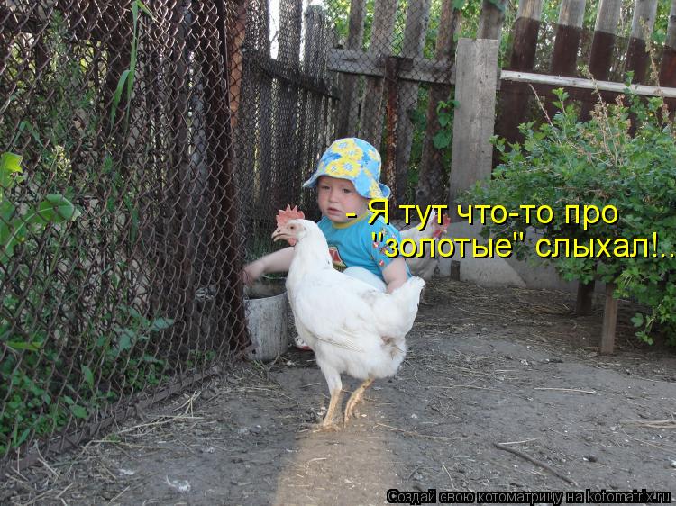 - Я тут что-то про "золотые" слыхал!..... Котоматрица: - Я тут что-то про "золотые" слыхал!..