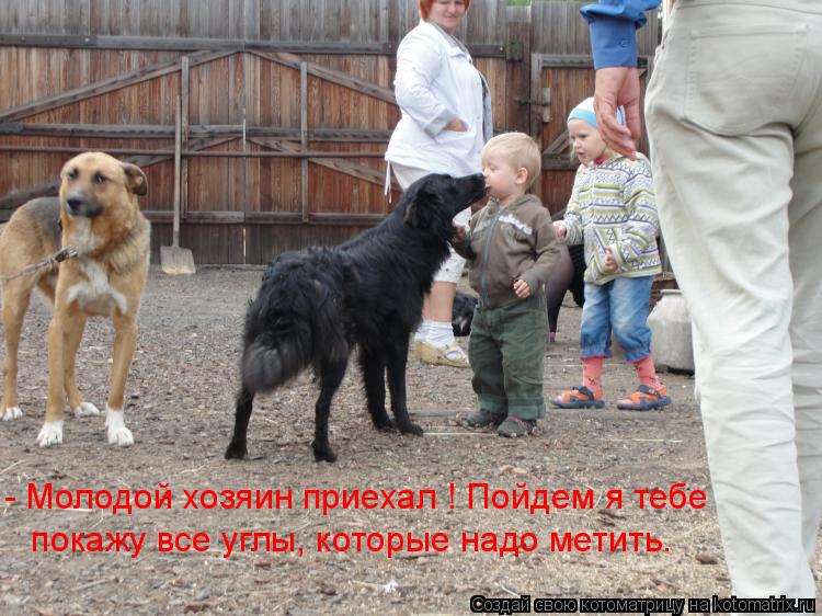 - Молодой хозяин приехал ! Пойдем я тебе покажу все углы, которые надо метить.... Котоматрица: - Молодой хозяин приехал ! Пойдем я тебе покажу все углы, которые надо метить.
