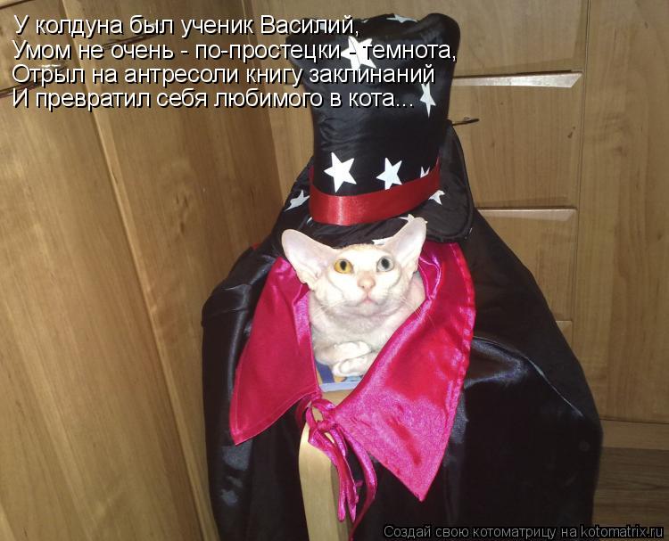 У колдуна был ученик Василий, Умом не очень - по-простецки - темнота, Отрыл на антресоли книгу заклин... Котоматрица: У колдуна был ученик Василий, Умом не очень - по-простецки - темнота, Отрыл на антресоли книгу заклинаний И превратил себя любимого в кота...