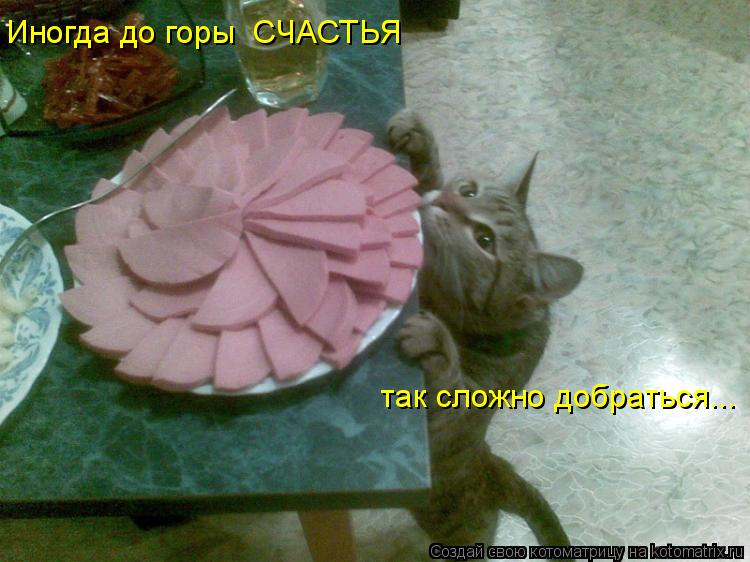 Иногда до горы СЧАСТЬЯ так сложно добраться...... Котоматрица: Иногда до горы СЧАСТЬЯ так сложно добраться...