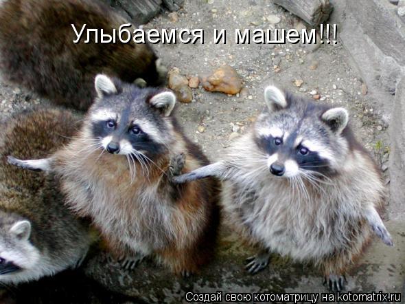 Улыбаемся и машем!!!... Котоматрица: Улыбаемся и машем!!!