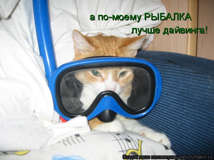 а по-моему РЫБАЛКА лучше дайвинга!... Котоматрица: а по-моему РЫБАЛКА лучше дайвинга!