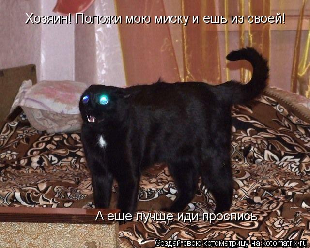 Хозяин! Положи мою миску и ешь из своей! А еще лучше иди проспись... Котоматрица: Хозяин! Положи мою миску и ешь из своей! А еще лучше иди проспись