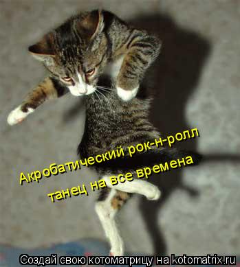 Акробатический рок-н-ролл танец на все времена... Котоматрица: Акробатический рок-н-ролл танец на все времена