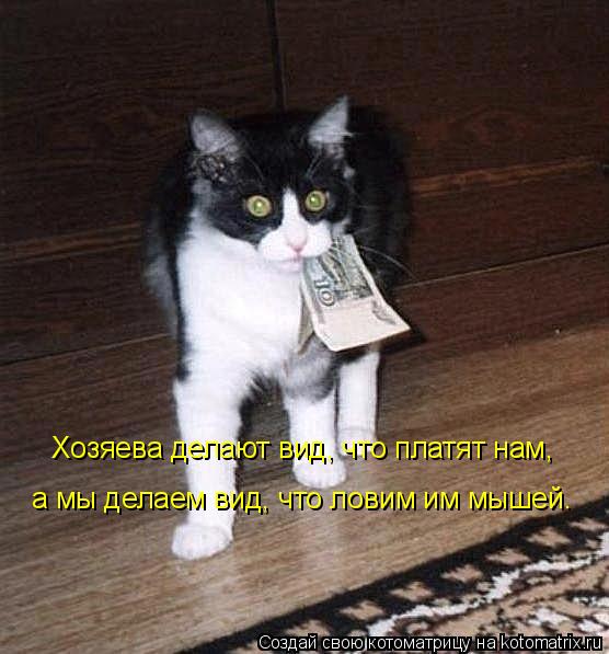 Хозяева делают вид, что платят нам, а мы делаем вид, что ловим им мышей.... Котоматрица: Хозяева делают вид, что платят нам, а мы делаем вид, что ловим им мышей.