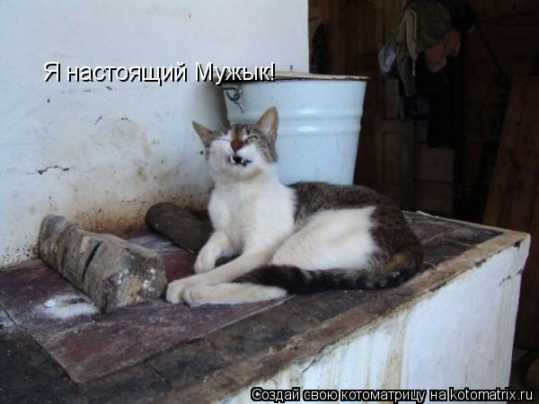 Я настоящий Мужык!... Котоматрица: Я настоящий Мужык!