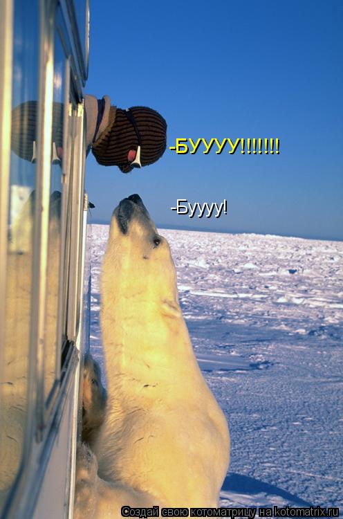 -Буууу! -БУУУУ!!!!!!!... Котоматрица: -Буууу! -БУУУУ!!!!!!!