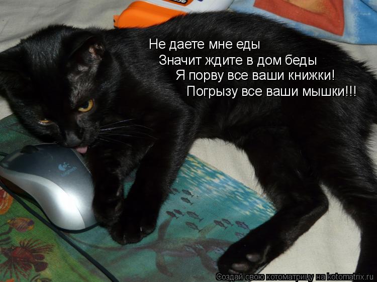 Не даете мне еды Значит ждите в дом беды Я порву все ваши книжки! Погрызу все ваши мышки!!!... Котоматрица: Не даете мне еды Значит ждите в дом беды Я порву все ваши книжки! Погрызу все ваши мышки!!!
