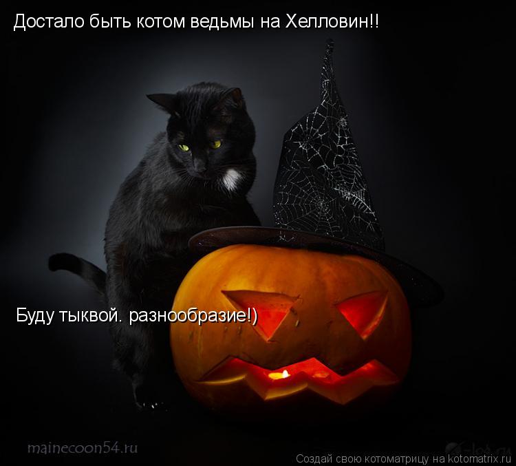Достало быть котом ведьмы на Хелловин!! Буду тыквой. разнообразие!)... Котоматрица: Достало быть котом ведьмы на Хелловин!! Буду тыквой. разнообразие!)