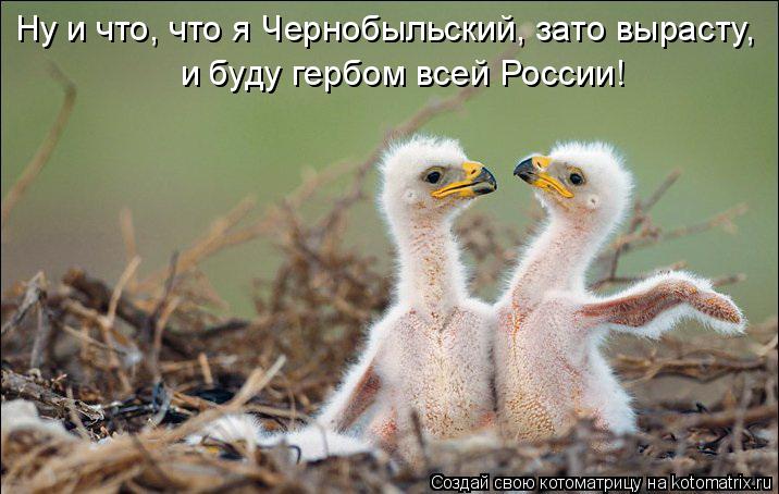 Ну и что, что я Чернобыльский, зато вырасту, и буду гербом всей России!... Котоматрица: Ну и что, что я Чернобыльский, зато вырасту, и буду гербом всей России!