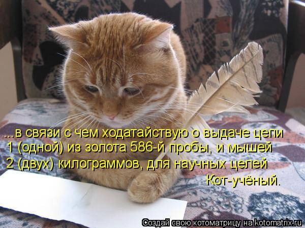 ...в связи с чем ходатайствую о выдаче цепи 1 (одной) из золота 586-й пробы, и мышей 2 (двух) килогра... Котоматрица: ...в связи с чем ходатайствую о выдаче цепи 1 (одной) из золота 586-й пробы, и мышей 2 (двух) килограммов, для научных целей Кот-учёный.