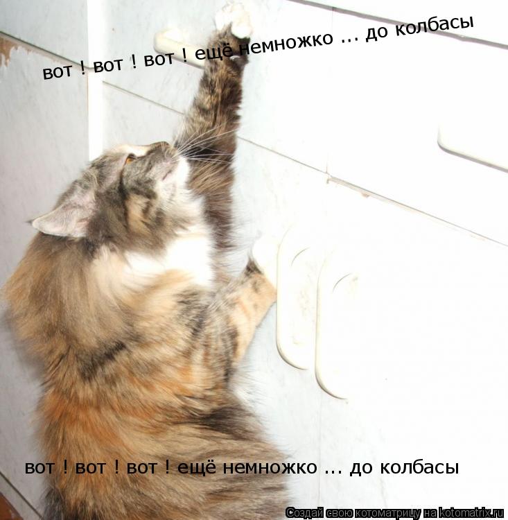 вот ! вот ! вот ! ещё немножко ... до колбасы вот ! вот ! вот ! ещё немножко ... до колбасы... Котоматрица: вот ! вот ! вот ! ещё немножко ... до колбасы вот ! вот ! вот ! ещё немножко ... до колбасы