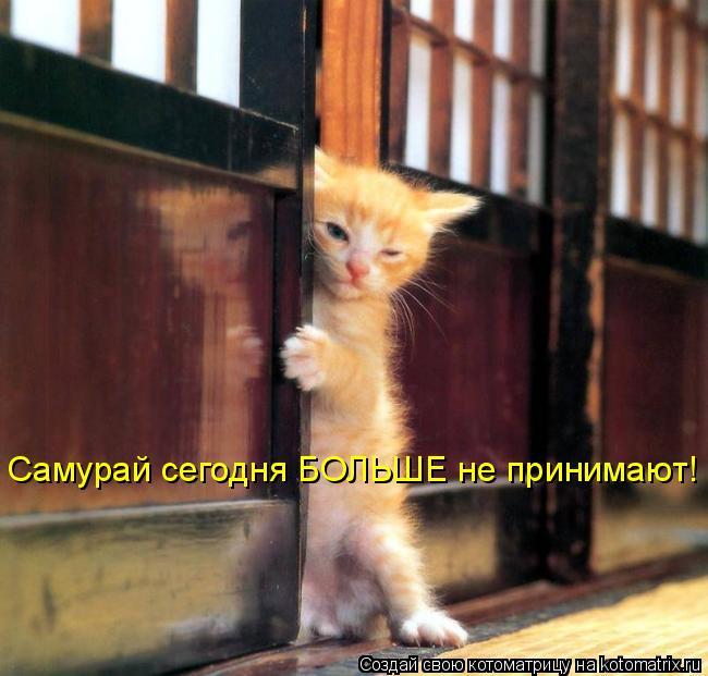 Самурай сегодня БОЛЬШЕ не принимают!... Котоматрица: Самурай сегодня БОЛЬШЕ не принимают!