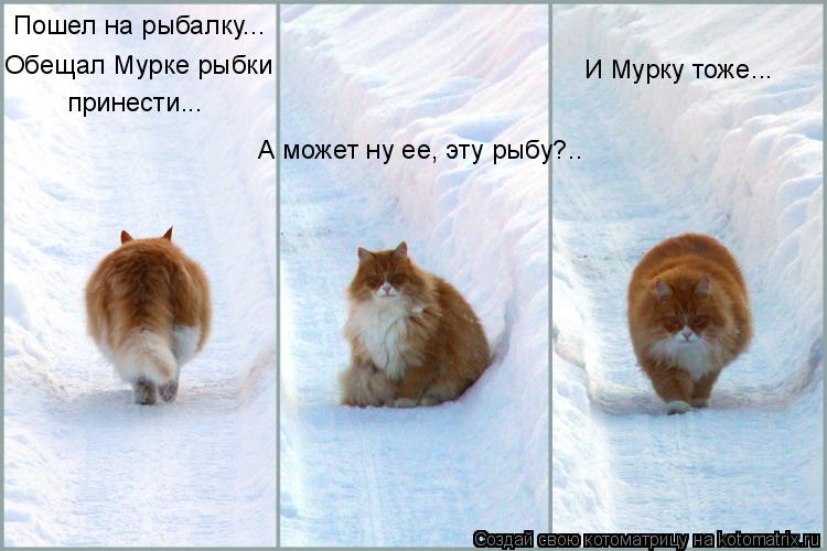 Пошел на рыбалку... Обещал Мурке рыбки принести... А может ну ее, эту рыбу?.. И Мурку тоже...... Котоматрица: Пошел на рыбалку... Обещал Мурке рыбки принести... А может ну ее, эту рыбу?.. И Мурку тоже...