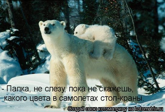 - Папка, не слезу, пока не скажешь, какого цвета в самолетах стоп-краны.... Котоматрица: - Папка, не слезу, пока не скажешь, какого цвета в самолетах стоп-краны.