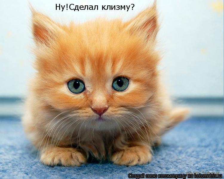 Ну!Сделал клизму?... Котоматрица: Ну!Сделал клизму?
