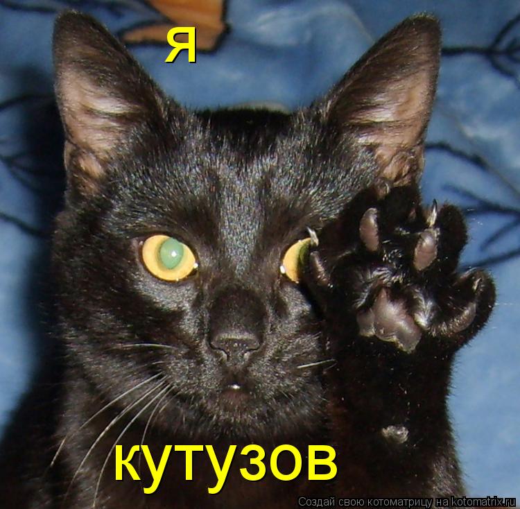 я кутузов... Котоматрица: я кутузов