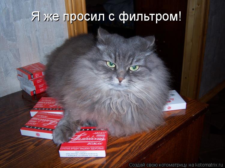 Я же просил с фильтром!... Котоматрица: Я же просил с фильтром!