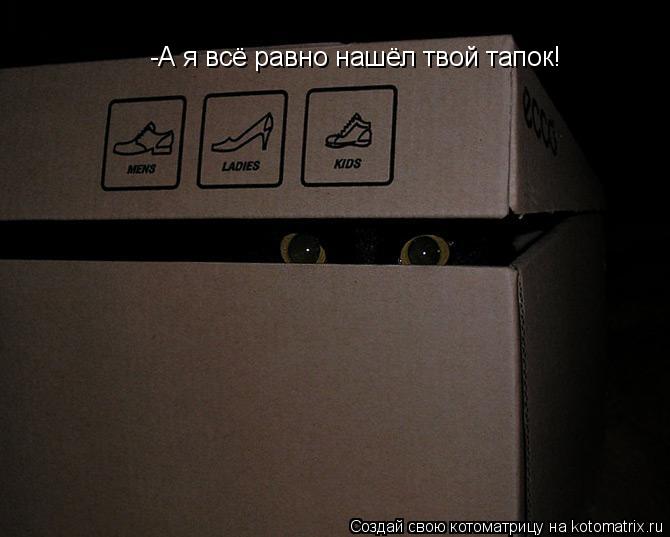 -А я всё равно нашёл твой тапок!... Котоматрица: -А я всё равно нашёл твой тапок!
