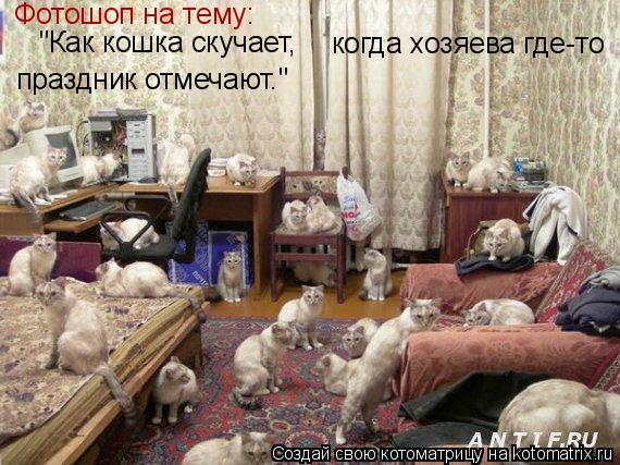 Фотошоп на тему: "Как кошка скучает, когда хозяева где-то праздник отмечают."... Котоматрица: Фотошоп на тему: "Как кошка скучает, когда хозяева где-то праздник отмечают."