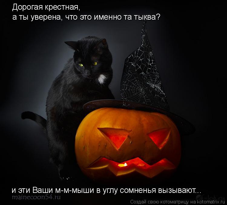 Дорогая крестная, а ты уверена, что это именно та тыква? и эти Ваши м-м-мыши в углу сомненья вызываю... Котоматрица: Дорогая крестная, а ты уверена, что это именно та тыква? и эти Ваши м-м-мыши в углу сомненья вызывают...