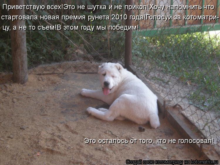 Приветствую всех!Это не шутка и не прикол!Хочу напомнить что стартовала новая премия рунета 2010 года... Котоматрица: Приветствую всех!Это не шутка и не прикол!Хочу напомнить что стартовала новая премия рунета 2010 года!Голосуй за котоматри- цу, а не то съем!В