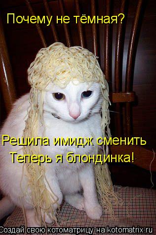 Почему не тёмная? Решила имидж сменить Теперь я блондинка!... Котоматрица: Почему не тёмная? Решила имидж сменить Теперь я блондинка!