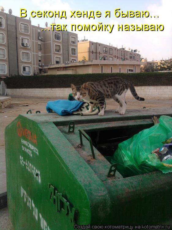 В секонд хенде я бываю... ...так помойку называю... Котоматрица: В секонд хенде я бываю... ...так помойку называю