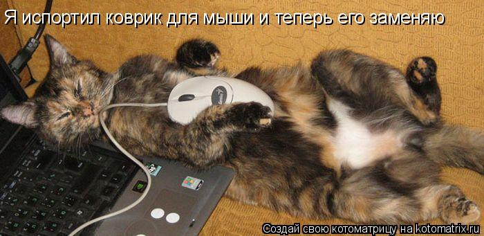 Я испортил коврик для мыши и теперь его заменяю... Котоматрица: Я испортил коврик для мыши и теперь его заменяю
