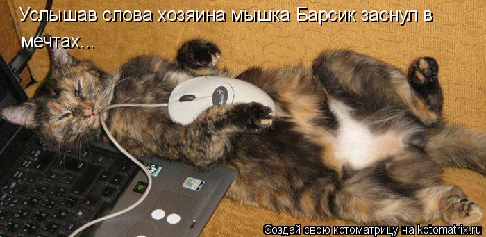 Услышав слова хозяина мышка Барсик заснул в мечтах...... Котоматрица: Услышав слова хозяина мышка Барсик заснул в мечтах...