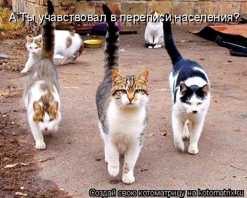 А Ты учавствовал в переписи населения?... Котоматрица: А Ты учавствовал в переписи населения?