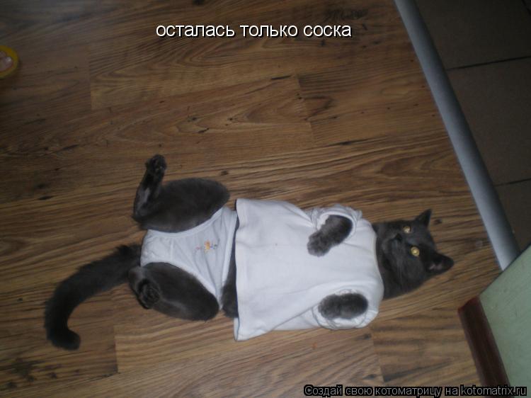 осталась только соска... Котоматрица: осталась только соска