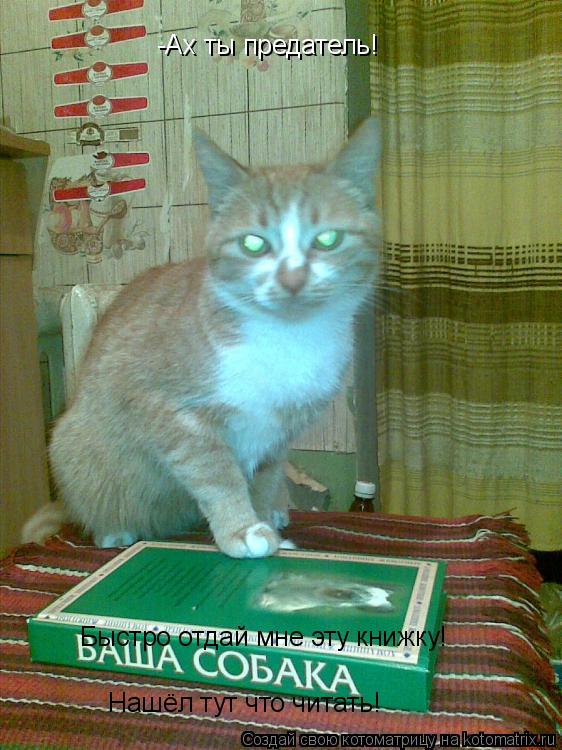 -Ах ты предатель! Быстро отдай мне эту книжку! Нашёл тут что читать!... Котоматрица: -Ах ты предатель! Быстро отдай мне эту книжку! Нашёл тут что читать!