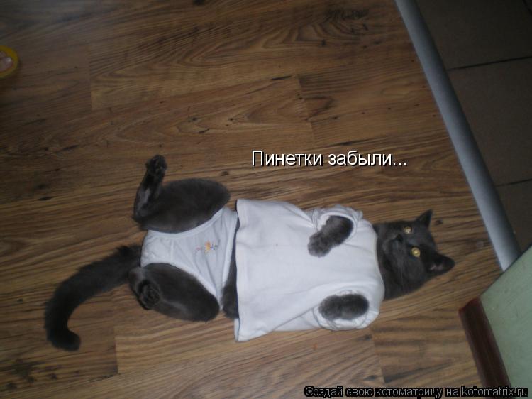 Пинетки забыли...... Котоматрица: Пинетки забыли...
