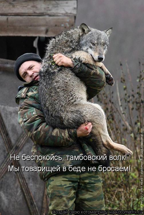 Мы товарищей в беде не бросаем! Не беспокойсь, тамбовский волк!... Котоматрица: Мы товарищей в беде не бросаем! Не беспокойсь, тамбовский волк!