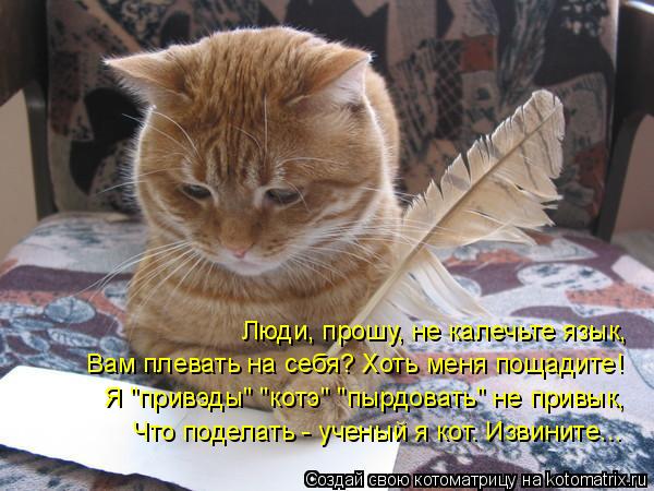 Котоматрица: Люди, прошу, не калечьте язык, Вам плевать на себя? Хоть меня пощадите! Я "привэды" "котэ" "пырдовать" не привык, Что поделать - ученый я кот. Изв