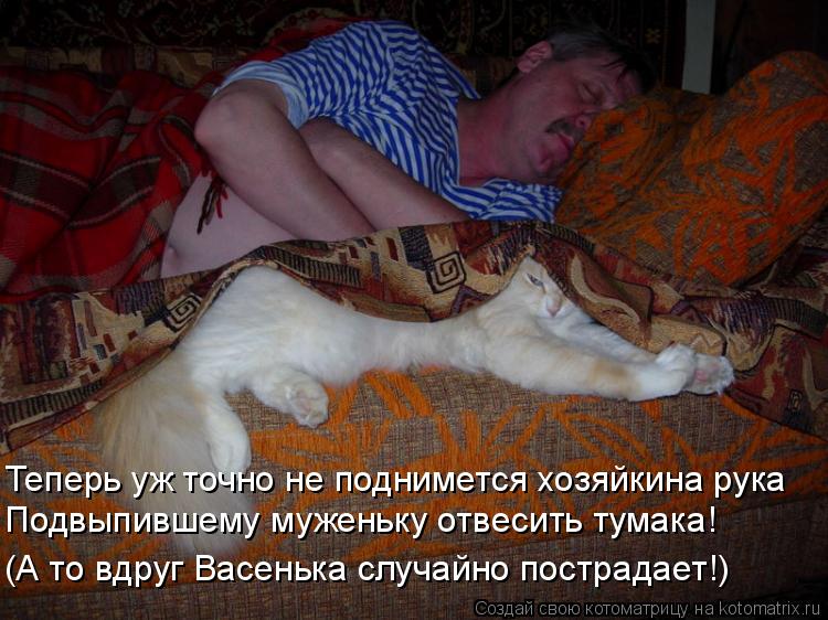 Котоматрица: Теперь уж точно не поднимется хозяйкина рука Подвыпившему муженьку отвесить тумака! (А то вдруг Васенька случайно пострадает!)