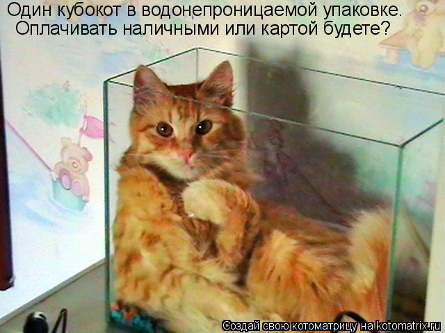 Один кубокот в водонепроницаемой упаковке. Оплачивать наличными или картой будете?... Котоматрица: Один кубокот в водонепроницаемой упаковке. Оплачивать наличными или картой будете?