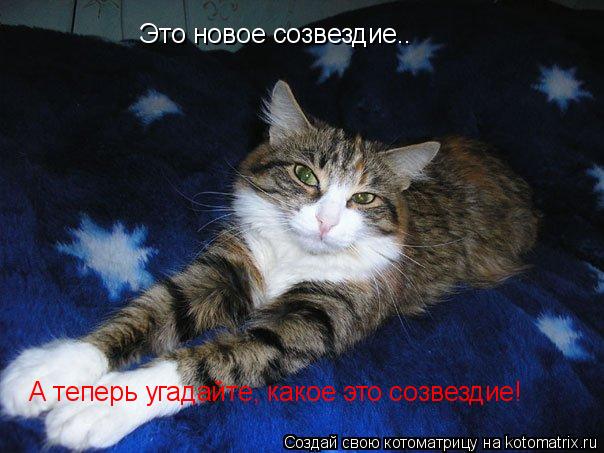 Это новое созвездие.. А теперь угадайте, какое это созвездие!... Котоматрица: Это новое созвездие.. А теперь угадайте, какое это созвездие!