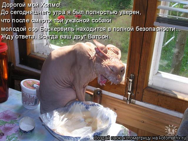 Дорогой мой Холмс! До сегодняшнего утра я был полностью уверен, что после смерти той ужасной собаки ... Котоматрица: Дорогой мой Холмс! До сегодняшнего утра я был полностью уверен, что после смерти той ужасной собаки молодой сэр Баскервиль находится в пол
