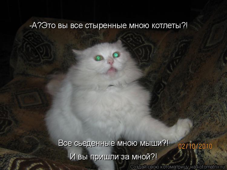 -А?Это вы все стыренные мною котлеты?! Все сьеденные мною мыши?! И вы пришли за мной?!... Котоматрица: -А?Это вы все стыренные мною котлеты?! Все сьеденные мною мыши?! И вы пришли за мной?!