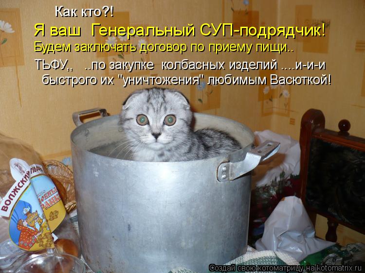 Как кто?! Я ваш Генеральный СУП-подрядчик! Будем заключать договор по приему пищи.. ТЬФУ,, ..по ... Котоматрица: Как кто?! Я ваш Генеральный СУП-подрядчик! Будем заключать договор по приему пищи.. ТЬФУ,, ..по закупке колбасных изделий ....и-и-и быстрого