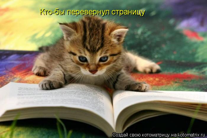 Кто-бы перевернул страницу... Котоматрица: Кто-бы перевернул страницу