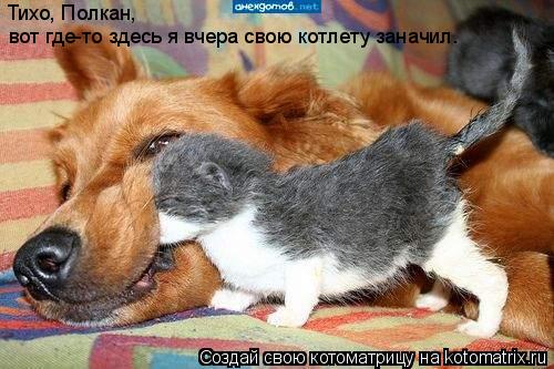 Тихо, Полкан, вот где-то здесь я вчера свою котлету заначил.... Котоматрица: Тихо, Полкан, вот где-то здесь я вчера свою котлету заначил.
